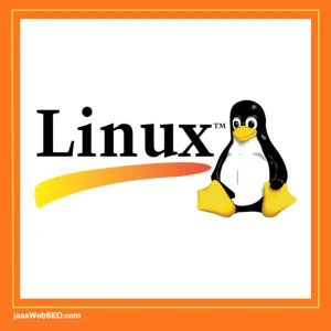 cek ip address website